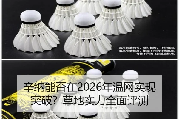 辛纳能否在2026年温网实现突破?草地实力全面评测